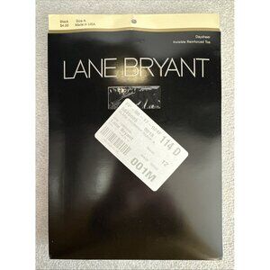 Lane Bryant Daysheer Pantyhose Black Size A Hosiery Invisible Reinforced Toe NEW